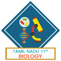 உயிரியல் - தாவரவியல்